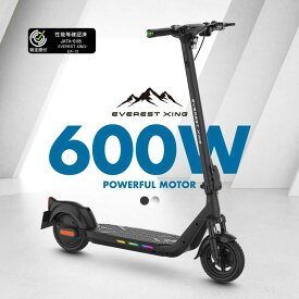 【ふるさと納税】2色から選べる 特定小型原付 EVERST XING EX15 【Acalie】 キックボード 原付 小型[MGS008]