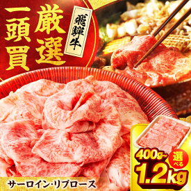 【ふるさと納税】【容量が選べる】飛騨牛サーロイン・リブロース すき焼きしゃぶしゃぶ用肉【馬力家】すき焼き しゃぶしゃぶ 牛肉[MHE001]