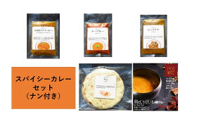 【ふるさと納税】スパイシーカレー4種類セット