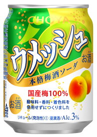 【ふるさと納税】チョーヤ ウメッシュ 3％本格梅酒ソーダ 250ML缶×24本
