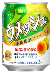 yӂ邳Ɣ[Łz`[ CHOYA EbV 3{i~\[_ 250ML×24{