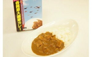 【ふるさと納税】各務原大編隊カレー 10箱セット