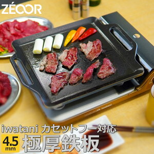 yӂ邳Ɣ[ŁzIW45-05 ZEOOR JZbgRp ɌS 4.5mm
