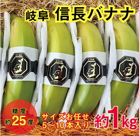【ふるさと納税】天下布武信長バナナ　約1kg　サイズお任せ　国産　糖度25度前後　無農薬　無添加