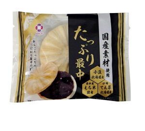 【ふるさと納税】アダチ製菓 たっぷり最中 (6個入り×8箱)