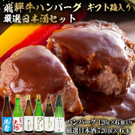 【ふるさと納税】9-7　飛騨牛 ハンバーグ120g×6個入り　+　厳選日本酒720ml×6本