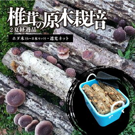 【ふるさと納税】 しいたけ 原木 2夏経過品 岐阜県 可児市 栽培キット 原木栽培 きのこ栽培 キノコ 家庭菜園 椎茸 料理 調理 国産 自由研究 送料無料