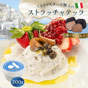 yӂ邳Ɣ[Łz Xgb`eb igtj Stracciatella al Tartufo 200g | JZCtB[` Tt`FXR i``[Y 򕌌 s ڂ肽 i L N