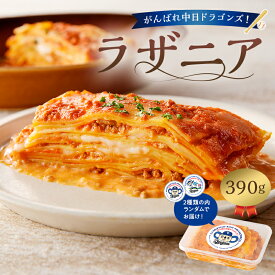 【ふるさと納税】 がんばれ中日ドラゴンズ！ イタリア人職人のラザニア 【中日ドラゴンズコラボ】 岐阜県 可児市 簡単 調理 便利 時短 料理 カセイフィーチョ サンフランチェスコ チーズ モッツァレラ チーズ モッツァレラ 工房 食品 自家製 パスタ トマトソース 送料無料