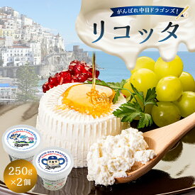 【ふるさと納税】 がんばれ中日ドラゴンズ！リコッタ（2022金賞）2個 【中日ドラゴンズコラボ】 岐阜県 可児市 しぼりたて 高品質 フレッシュ 柔らかい クリーム 食感 ミルク 風味 甘み カンノーリ チーズケーキ 送料無料