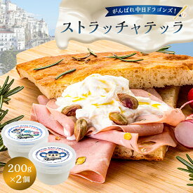 【ふるさと納税】 がんばれ中日ドラゴンズ！ストラッチャテッラ2個【中日ドラゴンズコラボ】 岐阜県 可児市 チーズ 乳製品 ミルク コク なめらか 弾力 モッツァレラチーズ クリーム サラダ パスタ サンドイッチ 肉料理 グルメ 送料無料