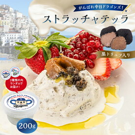 【ふるさと納税】 がんばれ中日ドラゴンズ！ストラッチャテッラ黒トリュフ入り1個【中日ドラゴンズコラボ】 岐阜県 可児市 チーズ 乳製品 濃厚 ミルク なめらか 弾力 サラダ パスタ サンドイッチ 肉料理 グルメ お取り寄せ 送料無料