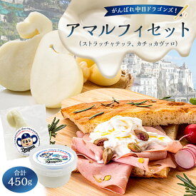 【ふるさと納税】がんばれ中日ドラゴンズ！アマルフィセット【中日ドラゴンズコラボ】 岐阜県 可児市 チーズ 乳製品 ストラッチャテッラ カチョカヴァロ 高品質 フレッシュチーズ ミルク 濃厚 グルメ お取り寄せ 送料無料