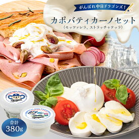 【ふるさと納税】 がんばれ中日ドラゴンズ！カポバティカーノセット 【中日ドラゴンズコラボ】 岐阜県 可児市 チーズ 乳製品 モッツァレラ ストラッチャテッラ 高品質 ミルク みずみずしい 食感 風味 ピザ パスタ お取り寄せ グルメ 送料無料