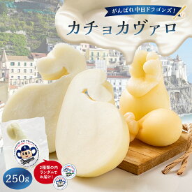 【ふるさと納税】がんばれ中日ドラゴンズ！カチョカヴァロ1個【中日ドラゴンズコラボ】 岐阜県 可児市 しぼりたて 高品質 生乳 熟成 セミハードチーズ 優しい食感 ミルク 風味 美食 グリル 野菜 パン キノコ 赤身の肉 お取り寄せ グルメ 送料無料