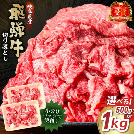 【ふるさと納税】 【容量が選べる】飛騨牛 切り落とし すき焼き 岐阜県 可児市 牛肉 肉 ブランド牛 ブランド 和牛 国産 サーロイン ロース肉 赤身肉 バラ肉 カレー シチュー 牛丼 肉じゃが お取り寄せ グルメ 送料無料