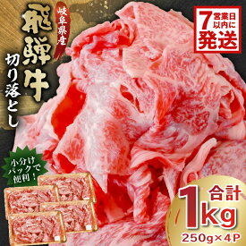 【ふるさと納税】 【7営業日以内発送】 飛騨牛切り落とし1kg（250g×4） 牛肉 カレー シチュー 牛丼 肉じゃが 牛しぐれ煮 炒め物 食品 肉 国産 和牛 ブランド牛 ブランド 小分け パック セット 国産牛 お肉 ロース もも 赤身 バラ ミックス 料理 岐阜県 送料無料