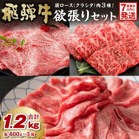 【ふるさと納税】【7営業日以内発送】 飛騨牛セット　肩ロース（クラシタ）肉（すき焼き用・しゃぶしゃぶ用・焼き肉用）各400g 岐阜県 可児市 お肉 肉 牛肉 ブランド牛 ブランド和牛 柔らかい 旨味 霜降り お取り寄せ グルメ 送料無料