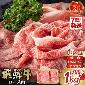 【ふるさと納税】【容量と用途が選べる】飛騨牛 ロース 岐阜県 可児市 焼肉 すき焼き しゃぶしゃぶ お肉 肉 牛ロース 濃厚 とろける 甘味 BBQ 鍋 牛肉 霜降り 本来の旨味 柔らかい お取り寄せ グルメ 冷凍 送料無料