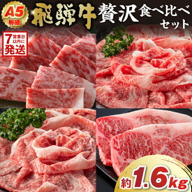 【ふるさと納税】【7営業日以内発送】A5等級　飛騨牛贅沢食べ比べセット（サーロインステーキ400g・ロースすき焼き用400g・ロースしゃぶしゃぶ用400g・ロース焼肉用400g）