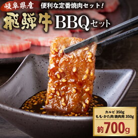 【ふるさと納税】飛騨牛BBQセット カルビ350g もも かた肉 焼き肉用350g 岐阜県 可児市 肉 お肉 ブランド ブランド牛 バーベキュー 詰め合わせ お取り寄せ グルメ 送料無料