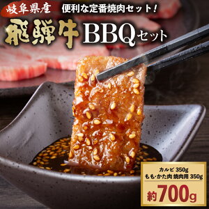yӂ邳Ɣ[ŁzˋBBQZbg Jr350g   Ăp350g 򕌌 s   uh uh o[xL[ lߍ킹  O 