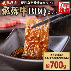 【ふるさと納税】【7営業日以内発送】 飛騨牛BBQセット カルビ350g もも かた肉 焼き肉用350g 岐阜県 可児市 肉 お肉 ブランド ブランド牛 バーベキュー 詰め合わせ お取り寄せ グルメ 送料無料