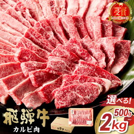 【ふるさと納税】 【容量が選べる】飛騨牛　カルビ 焼肉 肉 牛肉 カルビ 焼肉用 まとめ買い おうち焼肉 BBQ バーベキュー 肉 花見 和牛 国産牛 黒毛和牛 送料無料