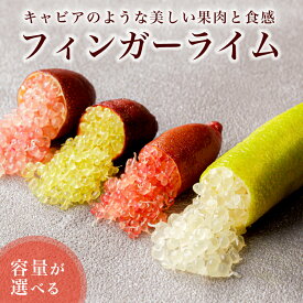 【ふるさと納税】【容量が選べる】フィンガーライム 岐阜県 可児市 果物 果実 新時代フルーツ 国産 キャビアライム 森のキャビア フルーツキャビア ブッシュキャビア 希少 柑橘 カルパッチョ ローストビーフ アイス カクテル 炭酸 トッピング 送料無料