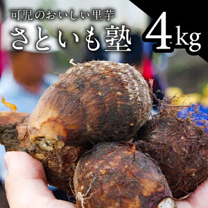 yӂ邳Ɣ[Łz yeʂIׂz̂wƂmx 򕌌 s Ƃ  y  H { O ϕ _炩 Y  