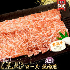 【ふるさと納税】店主こだわり雌牛 飛騨牛A5等級　ロース　焼肉用　約500g [No.038] ／ 牛肉 ブランド牛 やきにく メス牛 冷凍 送料無料 岐阜県 特産
