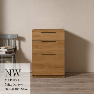 yӂ邳Ɣ[ŁzJE^[ NW-600K [No.1049] ^ Ƌ CeA 򕌌