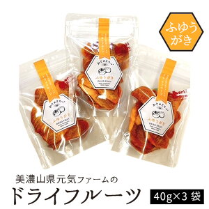 yӂ邳Ɣ[ŁzZRCt@[̃hCt[cウ[@ӂ䂤 [No.1100] ^ Ê` ` Ïk Ö hCt[c   򕌌