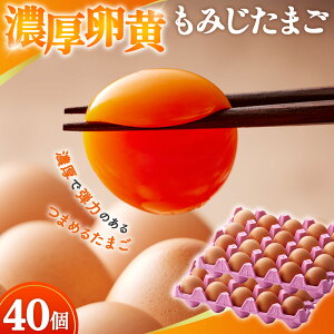 �y�ӂ邳�Ɣ[�Łz�y�I�ׂ�P�i/����ցz�Z���������݂����܂��y40���z�y3����/6����/12�����A���z [No.V004] �^ �^�}�S �����Y �V�N �{ �������� �򕌌� ���Y