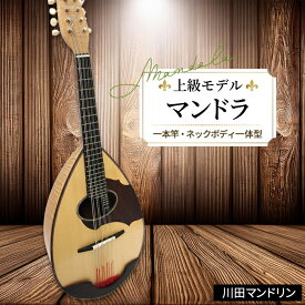 【ふるさと納税】【上級モデル】マンドラ [No.293] ／ 楽器 弦楽器 送料無料 岐阜県