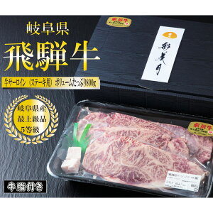 yӂ邳Ɣ[ŁzA5 ˋT[CXe[L800gi200g×4jitj [No.950] ^  uh i 炩  򕌌 Y