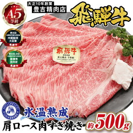 【ふるさと納税】約500g肩ロース肉すき焼き【11月中旬から発送開始】　氷温（R）熟成　飛騨牛A5等級 プロトン凍結 [No.520] ／ 飛騨牛 肩ロース 牛肉 すき焼き 500g 氷温熟成 プロトン凍結 A5等級 ブランド牛 高級肉 しゃぶしゃぶ 旨み 柔らかい お取り寄せ 牛肉セット