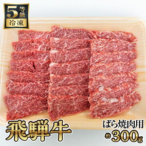 yӂ邳Ɣ[Łzˋ΂ēp 300gi5/Ⓚj [No.211] ^ o uh  BBQ  򕌌 Yi