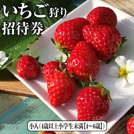 【ふるさと納税】いちご狩り招待券　小人（4歳以上小学生未満【4～6歳】） [No.422] ／ 体験 チケット イチゴ 苺 フルーツ狩り 果物狩り 送料無料 岐阜県