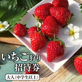 【ふるさと納税】いちご狩り招待券　大人（中学生以上） [No.424] ／ 体験 チケット イチゴ 苺 フルーツ狩り 果物狩り 送料無料 岐阜県