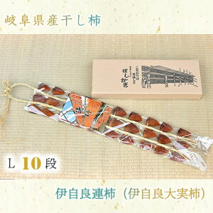 yӂ邳Ɣ[Łz򕌌Y` ɎǘA`iɎǑ`jL 10i 1.25kg [No.726] ^ `  ʕ i Mtg  򕌌