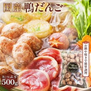 yӂ邳Ɣ[Łzy  ݂ ˏĂɁzY_S@500g [No.1123] ^   J    Ȃ ϕ ݂  Yi  򕌌