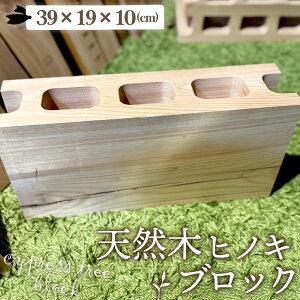 yӂ邳Ɣ[ŁzVR؃qmL̃ubN 1 [No.1147] ^ CeA Ђ̂ O w  DIY e[ur    򕌌