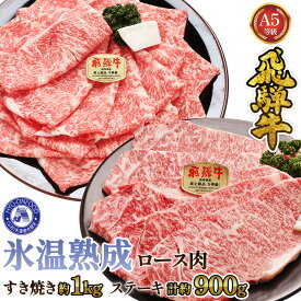 【ふるさと納税】すき焼き約1kgとステーキ5枚 （約900g）氷温(R)熟成　飛騨牛A5等級ロース肉 [No.119] ／ 牛肉 ブランド牛 すきやき 送料無料 岐阜県 特産