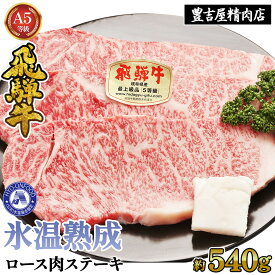 【ふるさと納税】ロース肉ステーキ 3枚（約540g）　氷温(R)熟成　飛騨牛A5等級 リキッドフリーズ [No.526] ／ 牛肉 ブランド牛 送料無料 岐阜県 特産