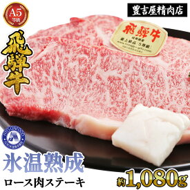【ふるさと納税】ロース肉ステーキ 6枚（約1080g）　氷温(R)熟成　飛騨牛A5等級 リキッドフリーズ [No.535] ／ 牛肉 ブランド牛 すきやき 送料無料 岐阜県 特産
