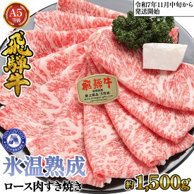 【ふるさと納税】約1500gロース肉すき焼き【11月中旬から発送開始】　氷温（R）熟成　飛騨牛A5等級　プロトン凍結 [No.538] ／ 牛肉 ブランド牛 送料無料 岐阜県 特産