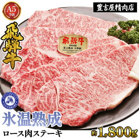 【ふるさと納税】ロース肉ステーキ 10枚（約1800g）　氷温(R)熟成　飛騨牛A5等級 リキッドフリーズ [No.539] ／ 牛肉 ブランド牛 ステーキ 送料無料 岐阜県 特産