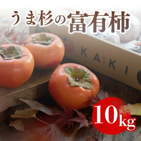 【ふるさと納税】＼選べるサイズ／うま杉の富有柿 10kg※2025年11月中旬～12月中旬頃に順次発送予定