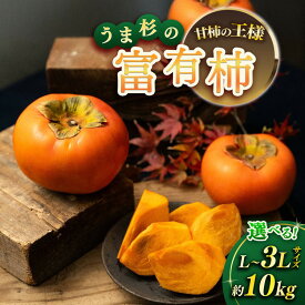 【ふるさと納税】【先行予約】＼選べるサイズ／うま杉の富有柿 10kg｜柿 ふゆうがき かき カキ 選べる フルーツ くだもの 果物 贈答用 家庭用 ギフト 贈り物 スイーツ おやつ 旬 秋の味覚 産地直送 先行 予約 岐阜県 瑞穂市※2026年11月中旬～12月中旬頃に順次発送予定
